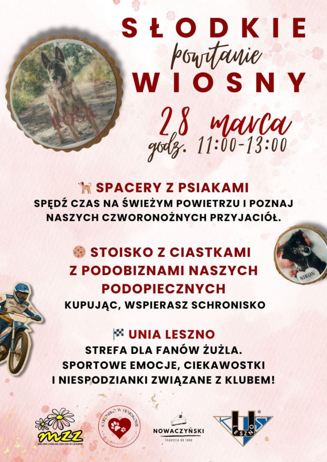 Schronisko w Henrykowie zaprasza na Słodkie powitanie wiosny. Z ciasteczkami i Unią Leszno