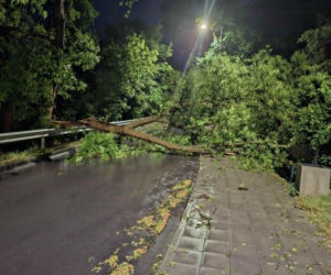 Zalane Starachowice. Widoki po burzy 1.07.2026