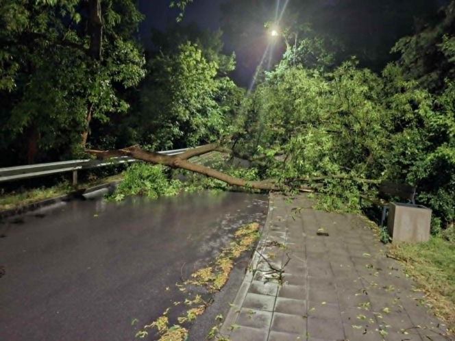 Zalane Starachowice. Widoki po burzy 1.07.2026