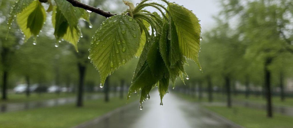 Bydgoszcz wita majowy weekend słońcem i 24°C, ale niedziela przyniesie załamanie pogody — image 2
