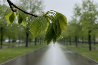 Pogoda na weekend w Bydgoszczy 1-3 maja. Czeka nas wzrost temperatury i deszczowy finał