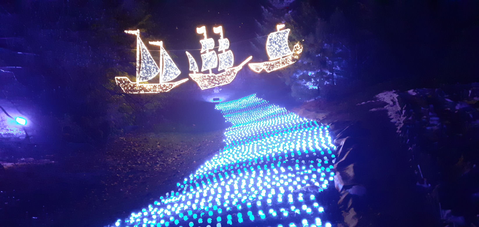 Lumina Park w Ogrodzie Botanicznym UMCS w Lublinie