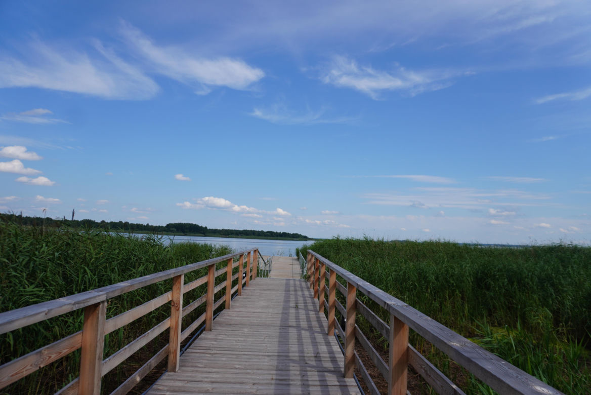 Podlaska Atlantyda, czyli Zalew Siemianówka i okolice