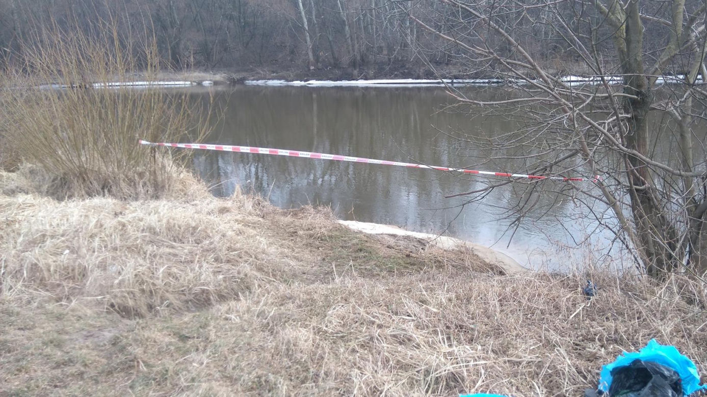 Ogromny wąż leżał na brzegu rzeki! Okazało się, że to Boa dusiciel!