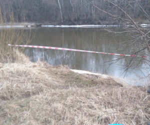 Ogromny wąż leżał na brzegu rzeki! Okazało się, że to Boa dusiciel!