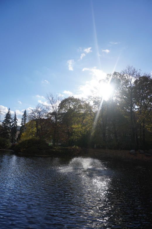 Park Wilsona jesienią