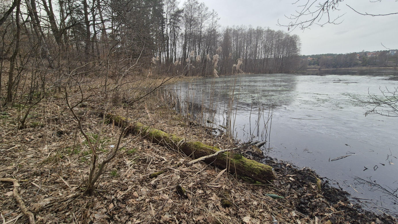 To jedno z najmniejszych jezior w Olsztynie. Prawie nikt o nim nie słyszał, a widoki zachwycają