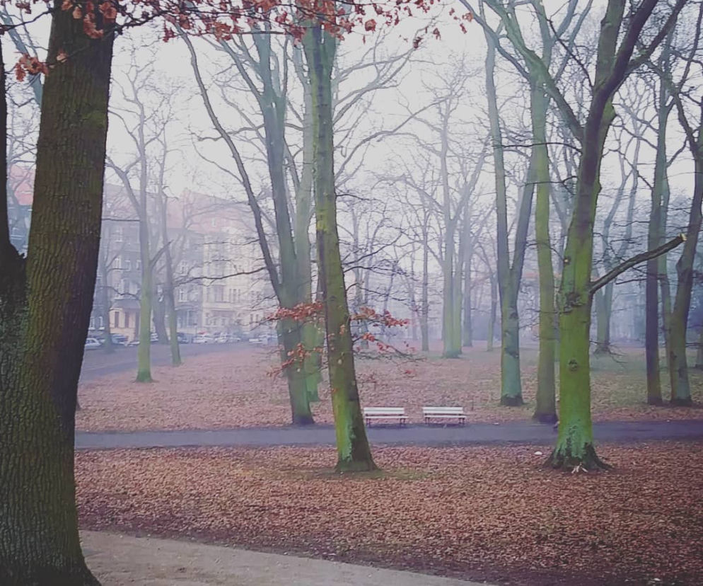 Park Żeromskiego