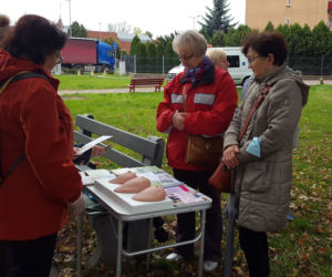 Na Polu Nadziei znów posadzono żonkile