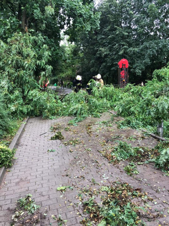 Nawałnica zniszczyła Zoo Płock! Placówka zamknięta! Co ze zwierzętami? [ZDJĘCIA]