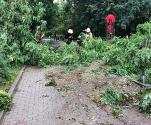 Nawałnica zniszczyła Zoo Płock! Placówka zamknięta! Co ze zwierzętami? [ZDJĘCIA]