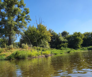 Odławiają potwory