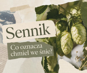 Sennik: chmiel. Co oznacza sen o chmielu?
