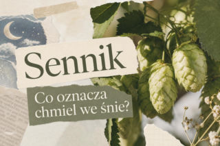 Sennik: chmiel. Co oznacza sen o chmielu?