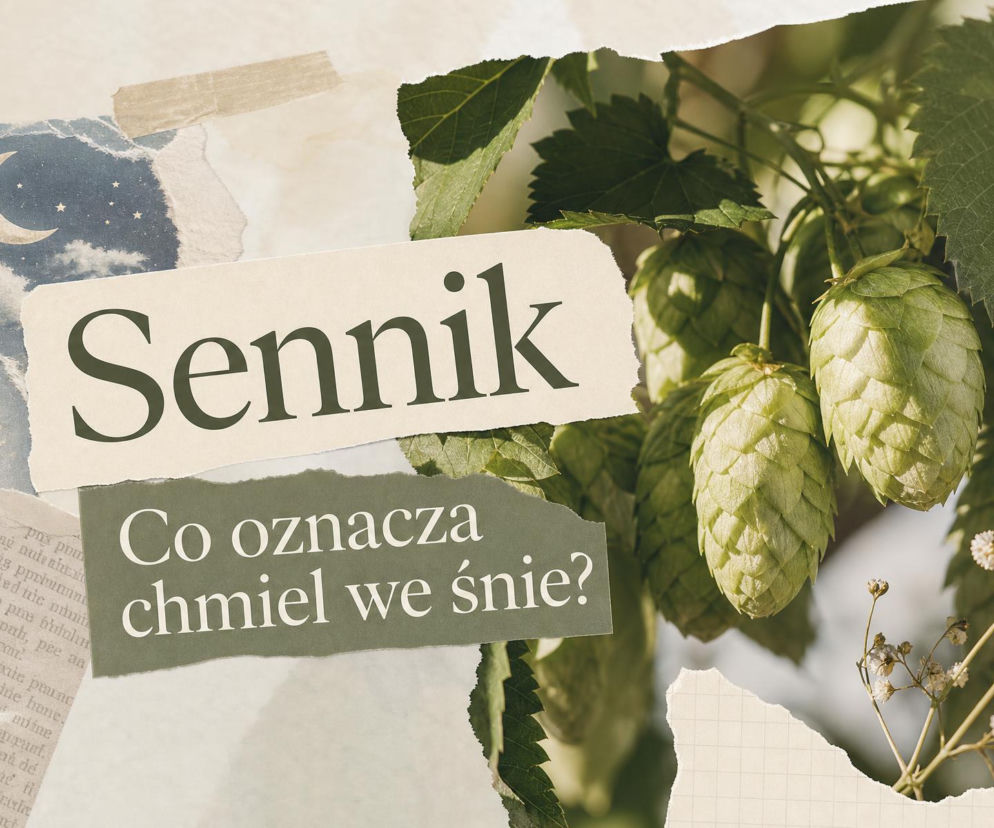 Zielone szyszki chmielu obok napisu Sennik. O znaczeniu snu o chmielu przeczytasz na SE.