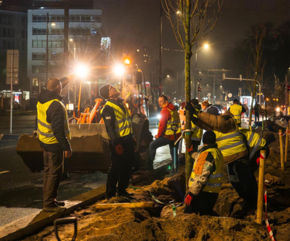 Nocą trwały prace na Marszałkowskiej. Zielona nowość w samym centrum Warszawy