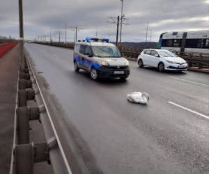 Dramat na Moście Pionierów w Szczecinie - służby ratowały rannego łabędzia