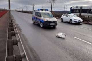 Dramat na Moście Pionierów w Szczecinie - służby ratowały rannego łabędzia