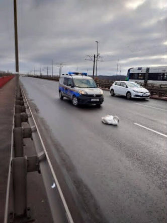 Dramat na Moście Pionierów w Szczecinie - służby ratowały rannego łabędzia