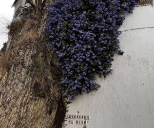 Setenil de las Bodegas, Hiszpania