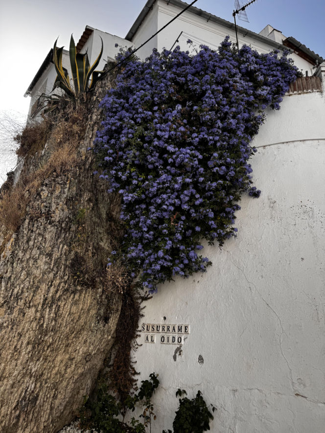 Setenil de las Bodegas, Hiszpania