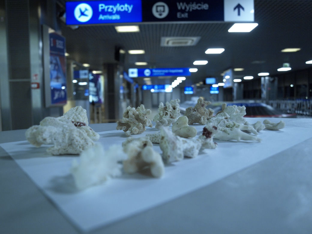 To przemycano przez podkarpacką granicę w 2022 roku