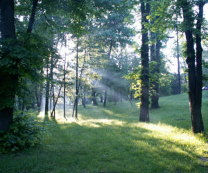 Park Zdrojowy Uzdrowisko Kraków Swoszowice