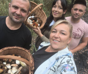 Deszcz spadł, ale zrobiło się zimno. Jaka jest aktualna sytuacja grzybowa w Świętokrzyskiem?