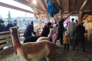 Musisz to zobaczyć! Wyjątkowa żywa szopka w Krakowie przyciąga tłumy