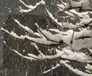 Wróżby pogodowe na rok! Jak dawniej chłopi odczytywali przyszłość z dnia św. Łucji