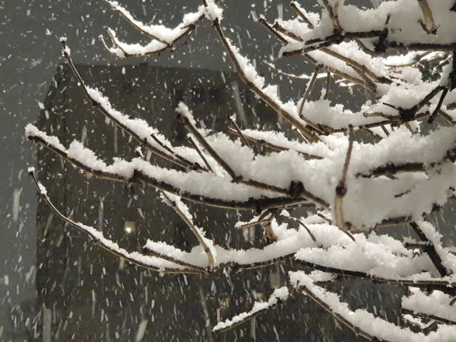 Wróżby pogodowe na rok! Jak dawniej chłopi odczytywali przyszłość z dnia św. Łucji