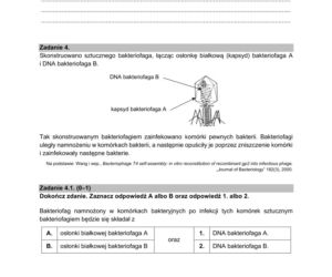 Matura próbna 2021: Biologia poziom rozszerzony. Arkusze CKE sprawdzisz TUTAJ