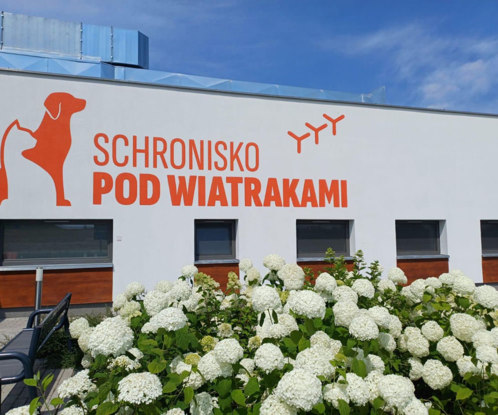 SCHRONISKO POD WIATRAKAMI
