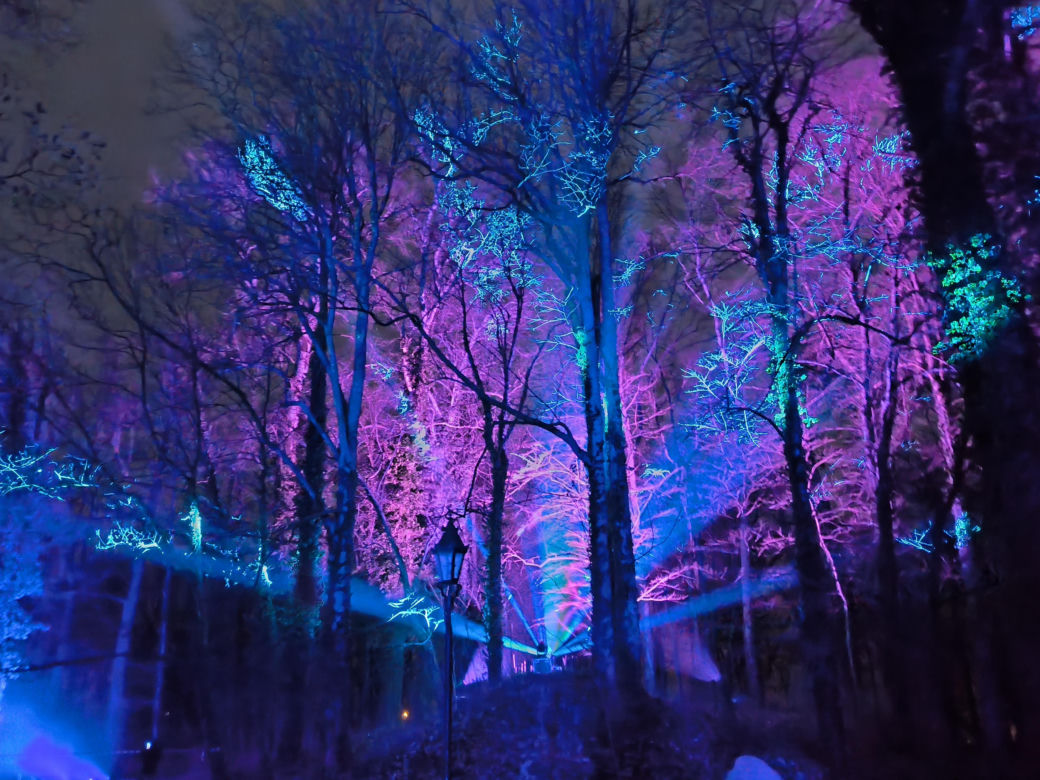 Festiwal Światła Rokosowo