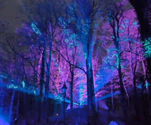 Festiwal Światła Rokosowo