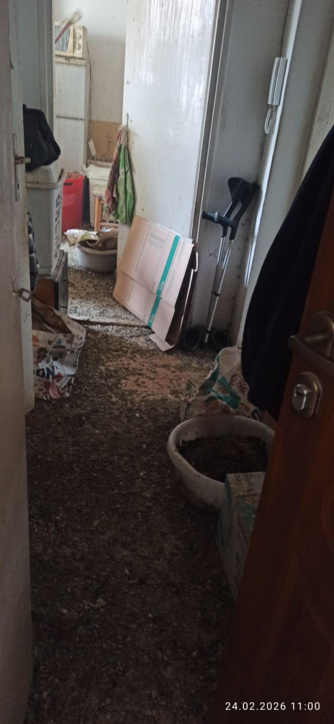 Żyła w mieszkaniu z chmarą gołębi. Służby weszły do środka i oniemiały!