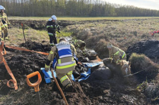 Konie uwięzione w bagnie