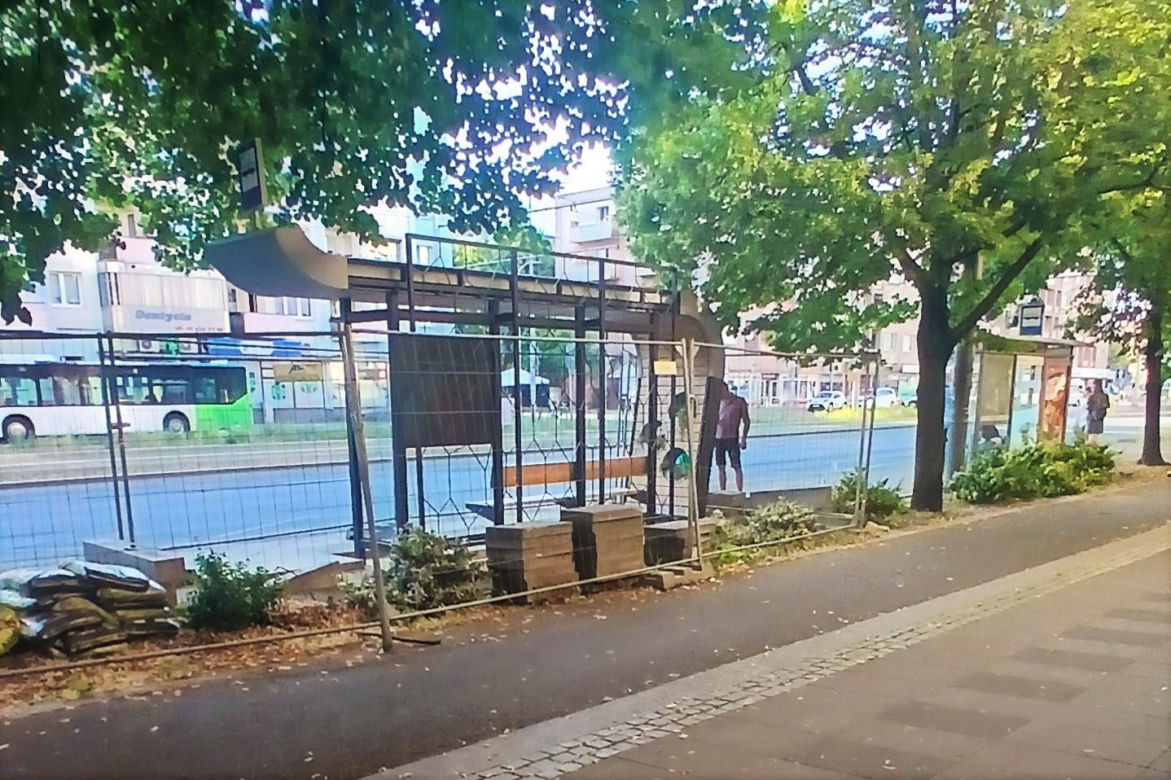 "Zielone przystanki" na al. Wyzwolenie