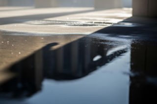 Proces Łukasza Żaka. Czego obawiała się kluczowa świadkini?