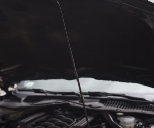 Ford Mustang Bullitt 5.0 V8 6MT