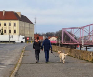 Obowiązkowa opłata za psa w Głogowie. Ostatnie dni na terminową płatność