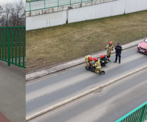 O krok od tragedii! Stanął na skraju mostu i chciał skoczyć [ZDJĘCIA]