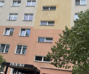 Wąż konał w śmietniku. To, co zrobił jego „opiekun”, poraża