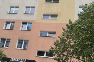 Wąż konał w śmietniku. To, co zrobił jego „opiekun”, poraża