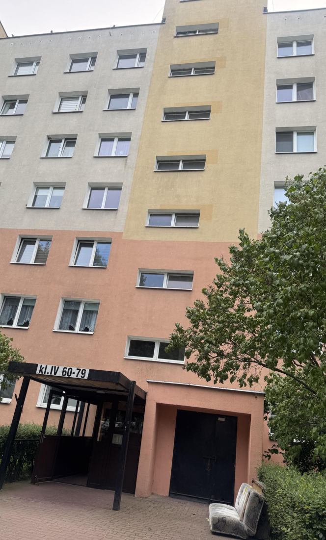 Wąż konał w śmietniku. To, co zrobił jego „opiekun”, poraża