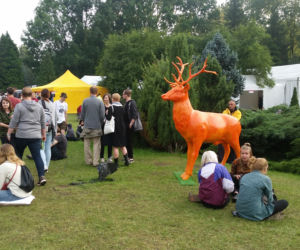 OFF Festival