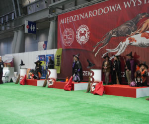 Międzynarodowa Wystawa Psów Rasowych Duo Cacib Kielce 2025