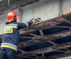 Niecodzienna akcja ratunkowa! Straż pożarna ściągała z wiaduktu… KOTA! 