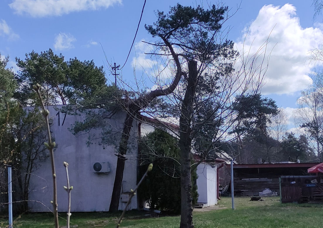 W niepozornym domku kryła się prawdziwa jaskinia rozpusty