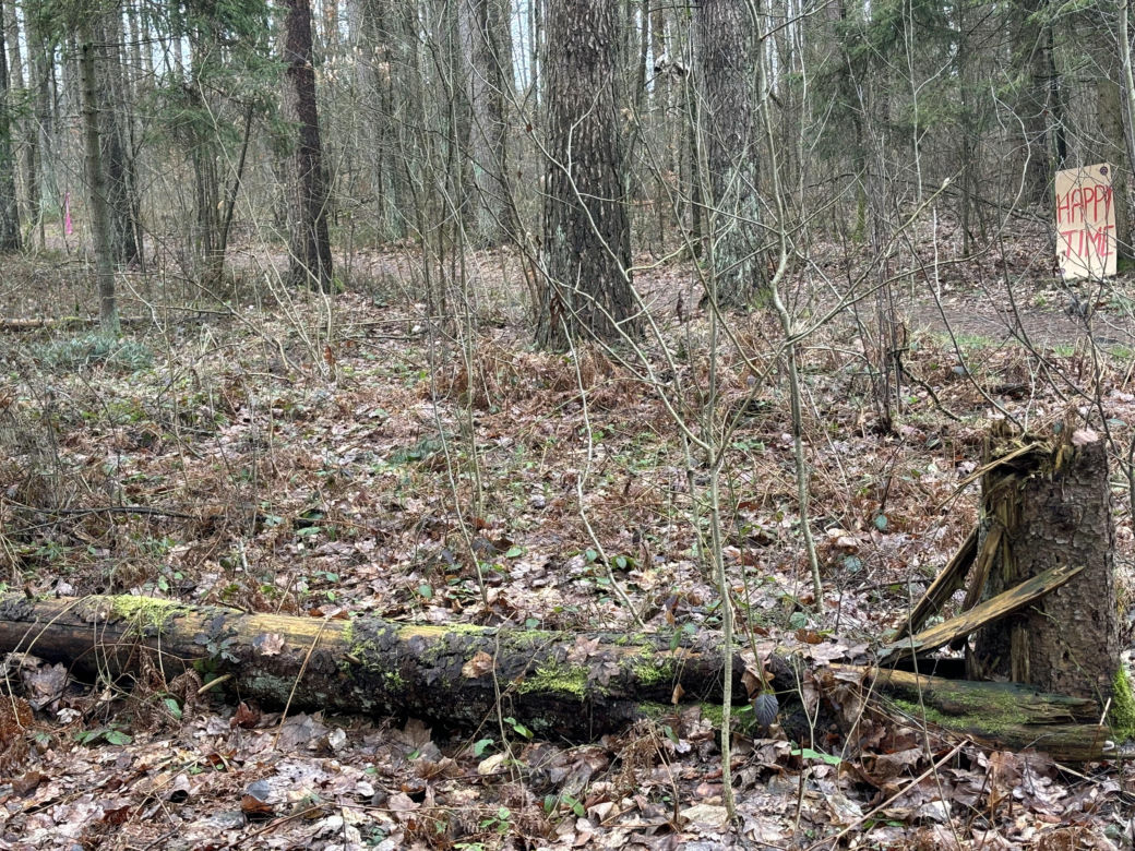 Za nami zawody biegowe BackYard Ultra Warmia 2024. Zwycięzca przebiegł ponad 470 kilometrów